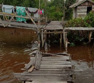 Titian Di Tamban Rusak, Perlu Perhatian Pemkab Batola