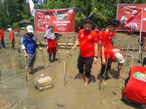 Pengurus PDIP Kalsel dan Tanbu, Tanam Mangrove di Pulau Burung
