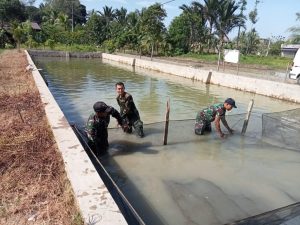 Kodim 1002/HST Dukung Ketahanan Pangan Melalui Program IFS Dan Mulawarman Tangguh