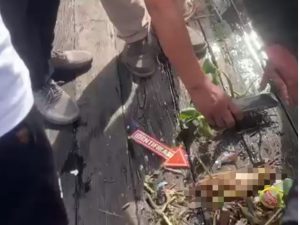 Warga Kobar Dihebohkan Temuan Potongan Tangan, Polres Kobar Lakukan Pendalaman