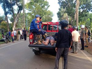 Kecelakaan Sesama Motor Depan Kantor BPN Pelaihari