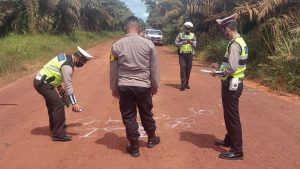 Dua Motor “Adu Banteng” dijalan Poros Kebun Sawit di Sampit