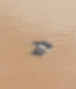 Geger, Mayat Pria Mengapung di Sungai Kahayan