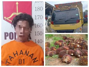 Gelapkan Buah Sawit, Sopir Truk di Satui Diciduk Polisi
