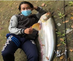 Ikan Lais Tembiring 14 Kg, Tak Dijual Hidayat