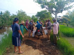 Warga Tanggul Rejo Gotong Royong Timbun Jalan Berlubang, Inisiatif Warga dan Pengusaha