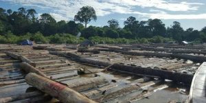 Ratusan Log Meranti Tak Bertuan Ditemukan Petugas di Sungai Satui