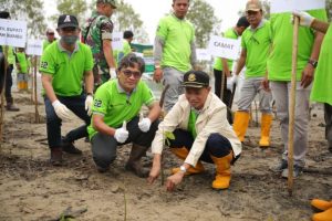 Pulihkan Lahan Kritis, Pemkab Tanbu Dan PT BIB Tanam Ribuan Mangrove