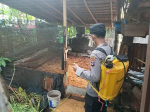 Cegah PMK, Polsek Kusan Hilir Semprot Disinfektan Hewan Kurban