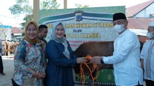Idul Adha 2022, Polda Kalsel Potong Puluhan Ekor Hewan Kurban