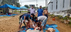 Hari Kedua Idul Adha, BBP Potong dan Salurkan Daging Kurban