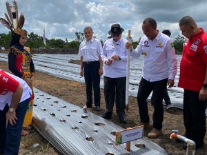 Perdana, Lapas Kelas III Sukamara Tanam Jagung, Dukung Ketahanan Pangan
