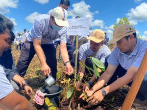 Hari Konservasi Alam Nasional, PT PJB UBJOM Tanam 5000 Pohon Balangeran