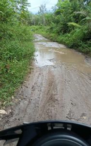 Tak Menyerah Lintasi Jalan Berlumpur, Bagian Kedua Kisah Perjuangan Pengawas Sekolah Kankemenag Bartim