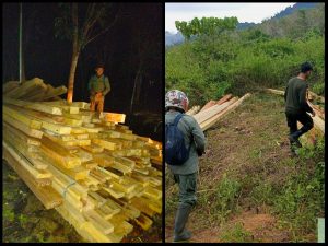 KPH Kusan Temukan 8 Kubik Kayu Tak Bertuan di Gunung Raya