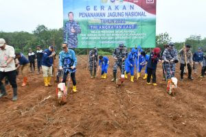 Peringati HUT TNI AL ke-77, Lanal Banjarmasin Gerakan Penanaman Sorgum dan Jagung Nasional