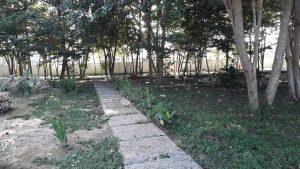 Proyek Pemeliharaan Taman Budaya di Kapuas Disinyalir Bahayakan Pengunjung