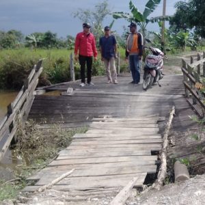 Dewan Ini Harapkan Perhatian Pemda Kapuas, Terkait Jalan dan Jembatan di Kapuas Murung