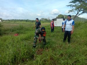 Koramil Kusan Hulu Bersama Forkopimcam Tanam Pohon di Lahan Persiapan Kantor Kecamatan