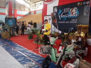 1000 Koi, Ikuti Kontes Young Koi Show 2023 di Kotabaru