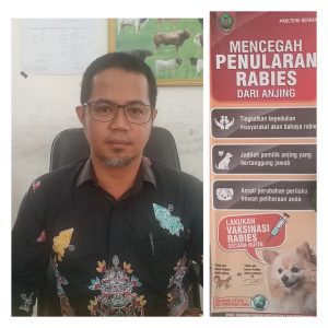 Distanakan Murung Raya Imbau Pelihara Anjing Agar Suntik Vaksin