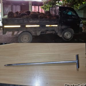 Maling 1.350 Kg Buah Sawit di Mantewe Dicuduk Polisi