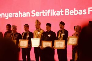 Bupati Tanah Bumbu Terima Penghargaan Dari Kemenkes – RI