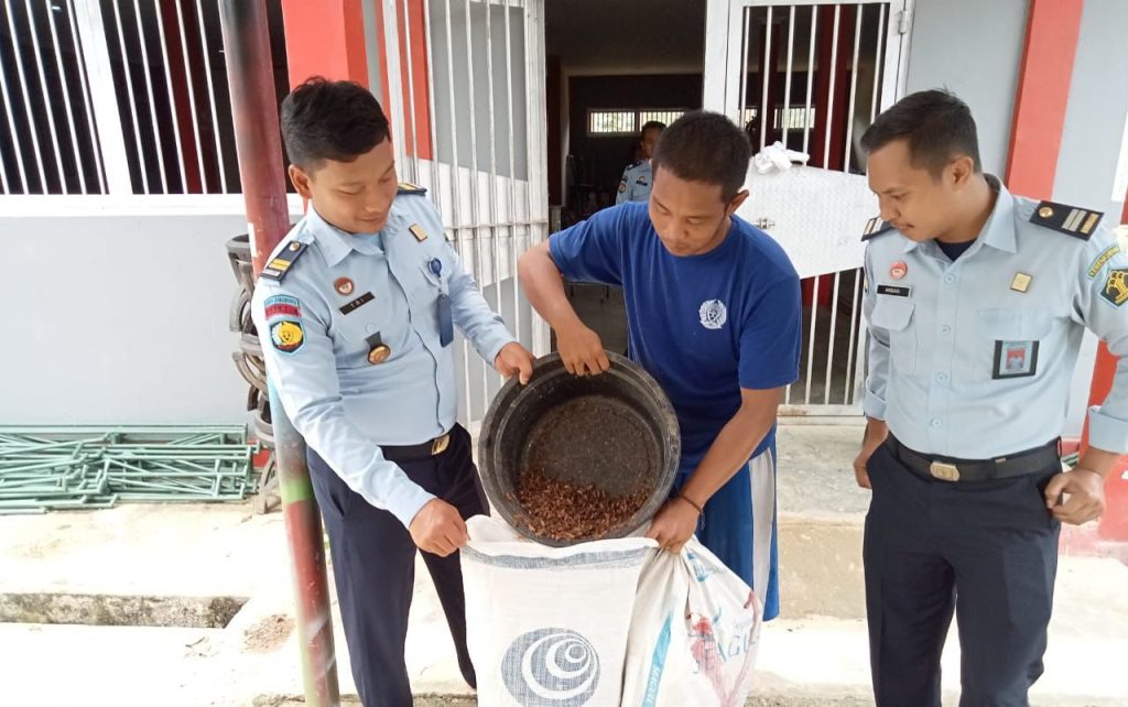 Warga Binaan Lapas Banjarbaru Panen Perdana Budidaya Jangkrik