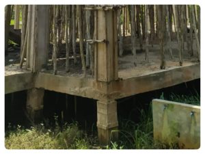 Terbengkalai Bertahun-tahun Gedung Kecamatan Kapuas Barat Tak Dilanjutkan, Ini Alasannya