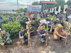 Lanal Kotabaru Tanam 5000 an Mangrove Secara Serentak
