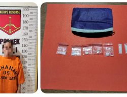 Miliki 9 Paket Sabu, Ibu Rumah Tangga di Satui Diringkus Polisi