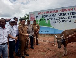 Minamas Plantation PT.BSS Salurkan Puluhan Hewan Kurban