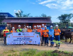 Idul Adha 1444H, PT. Arutmin Indonesia Site Kintap Salurkan 10 Ekor Sapi Kurban