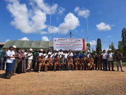 Minamas Plantation Region Kalsel Serahkan 34 Ekor Sapi Kurban