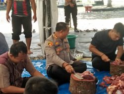 Polres Sukamara Potong 4 Ekor Sapi dan 2 Ekor Kambing