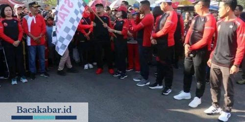Meriahkan Harjad Ke – 21 Kabupaten Pulpis, Bupati Lepas Gerak Jalan Sehat 