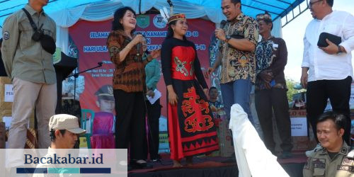 Bupati Pulpis Hadiri Acara Puncak HUT Desa Kanamit Barat Ke-33