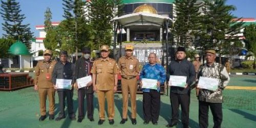 Pemkab Tanbu Berikan Penghargaan kepada Pelaku Seni