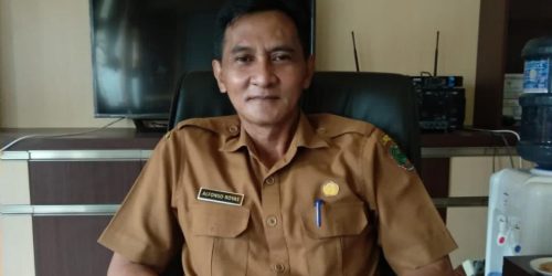 Kabupaten Pulpis Buka Pendaftaran PPPK Guru SD dan SMP