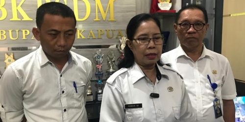 Pendaftaran PPPK 2023 Kabupaten Kapuas Resmi Dibuka