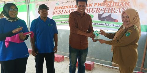 Kades Selaselilau Apresiasi Pelatihan Budidaya Jamur Tiram