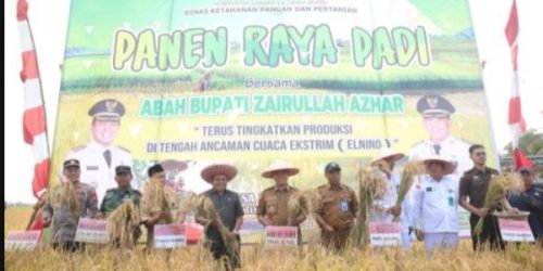 Bupati Tanah Bumbu Hadiri Panen Raya Padi dan Penyerahan Combine Harvester di Salimuran