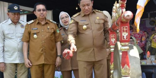 Ini Pesan Wagub Pada Pembukaan PEDA KTNA Kalteng 2023