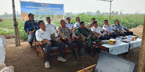 Dukung Hanpangan 2023, Desa Pulau Kaladan dan Kodim 1011 KLK Kolaborasi Budidaya Semangka