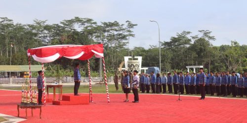 Pemkab Pulang Pisau Gelar Upacara Peringatan HUT Hari Guru Nasional dan Korpri ke-52