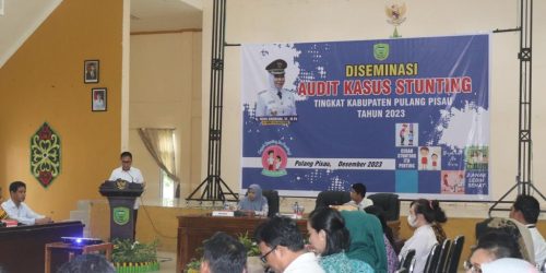 Percepat Penurunan Stunting, Pemkab Pulang Pisau Gelar  Diseminasi Hasil Audit