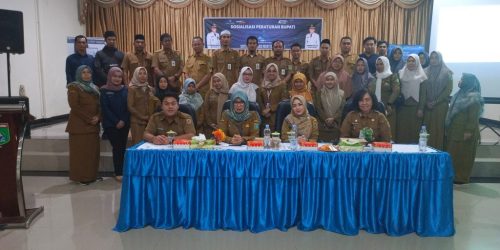 Bappedalitbang Sosialisasikan SERASI di Kabupaten Tanah Bumbu