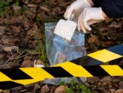 Penemuan Jasad di Kebun Sawit Kintap Terkuak, 2 Pelaku Ditangkap