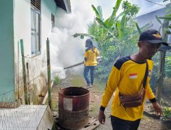 Cegah DBD, Pemdes Batu Nindan Fogging Rumah Warga