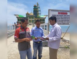 Patin Balalah, Layanan Informasi dan Pengaduan Untuk Semua